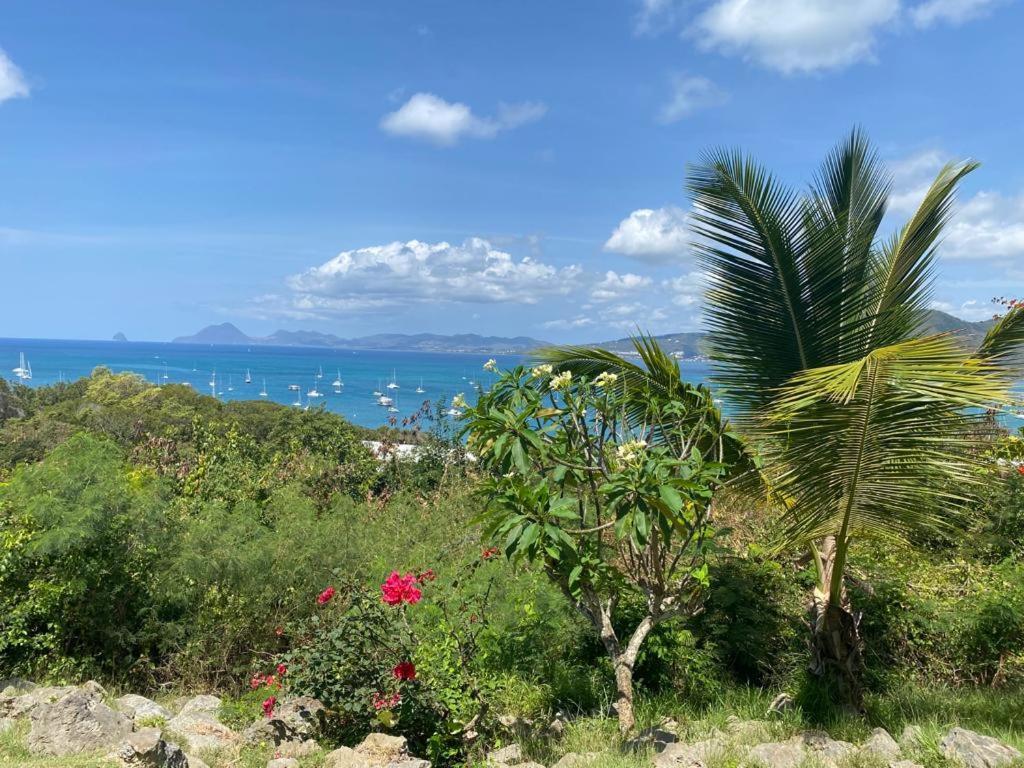 Superbe Appartement Vue Sur Mer Sainte-Anne Exteriér fotografie